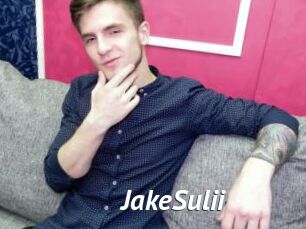JakeSulii