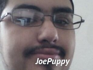 JoePuppy