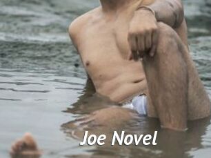 Joe_Novel