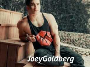 JoeyGoldberg