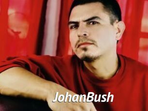 JohanBush