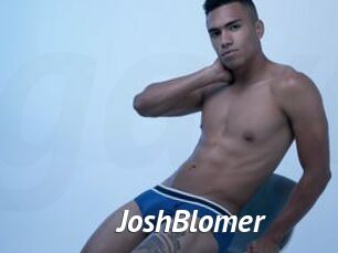 JoshBlomer