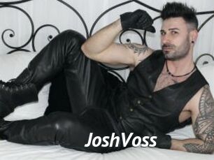 JoshVoss