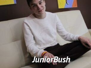 Junior_Bush Gay Vod