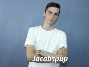 Jacobspup