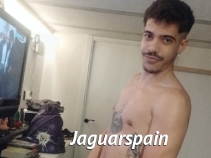 Jaguarspain