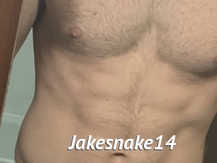 Jakesnake14