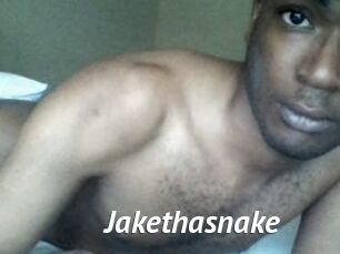 Jake_tha_snake
