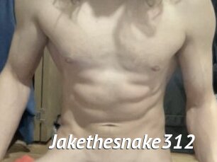 Jakethesnake312