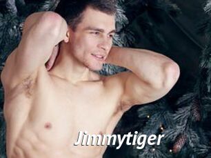 Jimmytiger