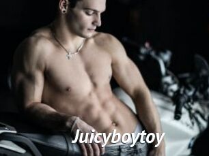 Juicyboytoy
