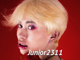 Junior2311