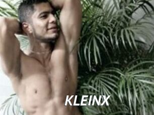 KLEINX