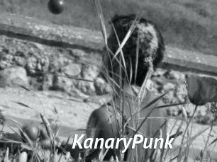 KanaryPunk