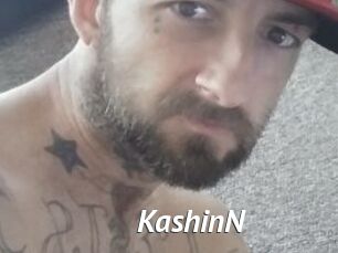 KashinN