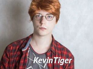 KevinTiger