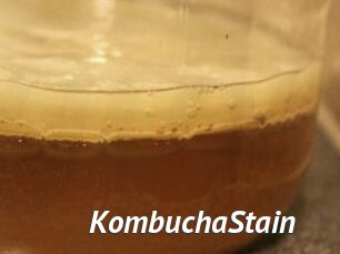 KombuchaStain
