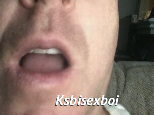 Ksbisexboi