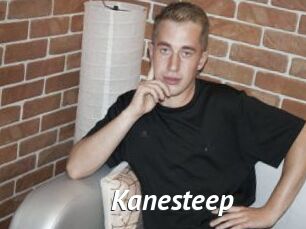 Kanesteep
