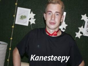 Kanesteepy