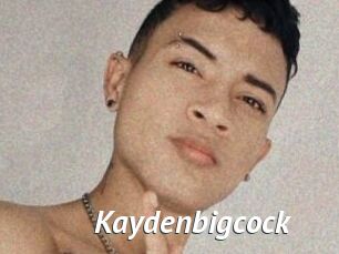 Kaydenbigcock