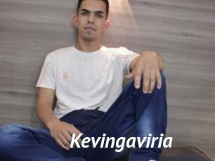 Kevingaviria
