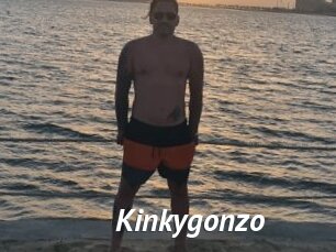 Kinkygonzo