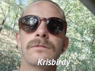 Krisbirdy
