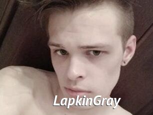 LapkinGray