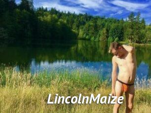 Lincoln_Maize