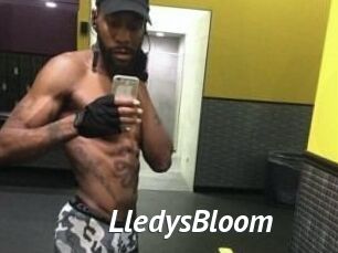 Lledys_Bloom