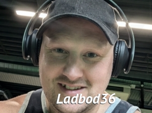 Ladbod36