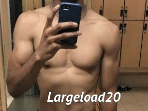 Largeload20