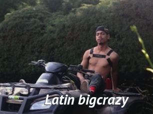 Latin_bigcrazy