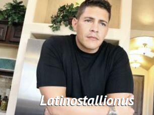 Latinostallionus