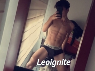 Leoignite