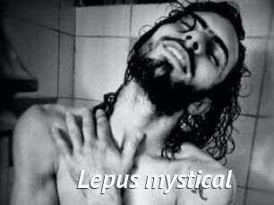 Lepus_mystical