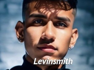 levinsmith Gay Vod