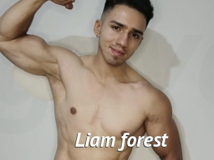 Liam_forest