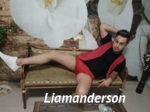 liamanderson Gay Vod