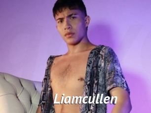 Liamcullen