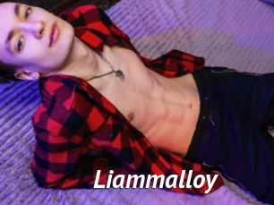 liammalloy Gay Vod