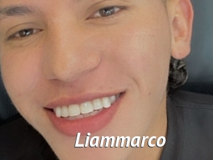 liammarco Gay Vod