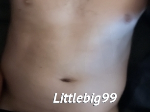 Littlebig99
