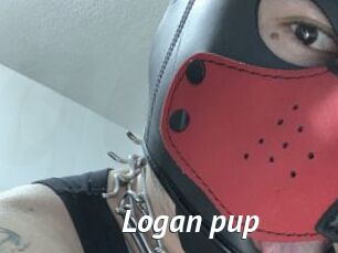 Logan_pup