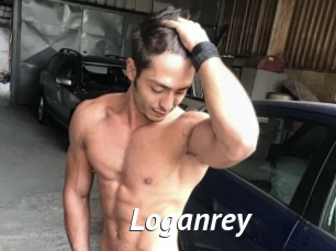Loganrey