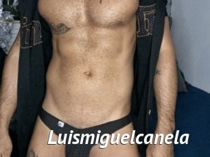 luismiguelcanela Gay Vod