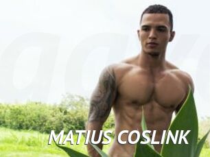 MATIUS_COSLINK