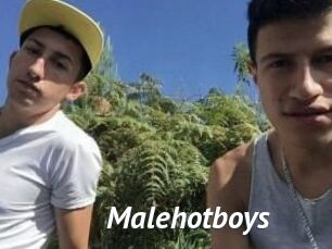Malehotboys