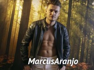 MarcusAranjo
